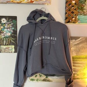 Abercrombie Gray Hoodie